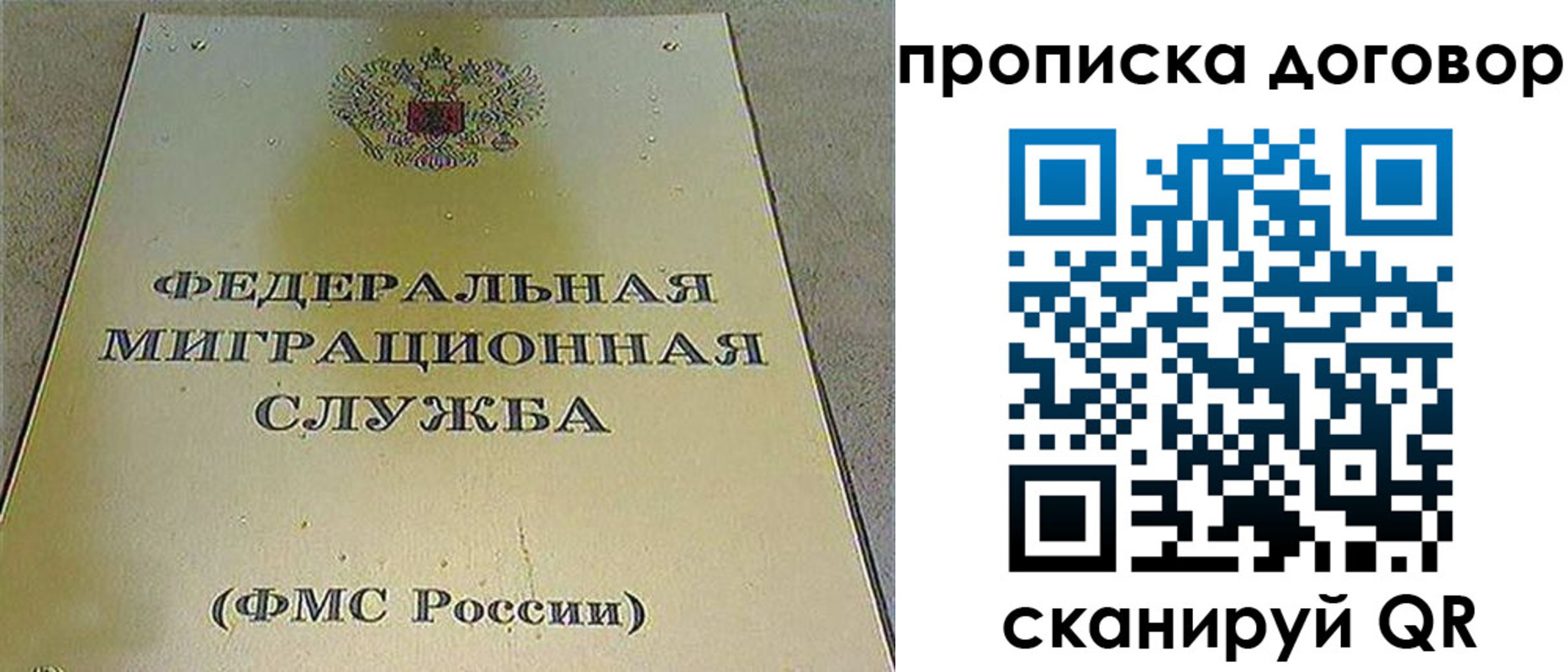 прописка паспорт в Александровске