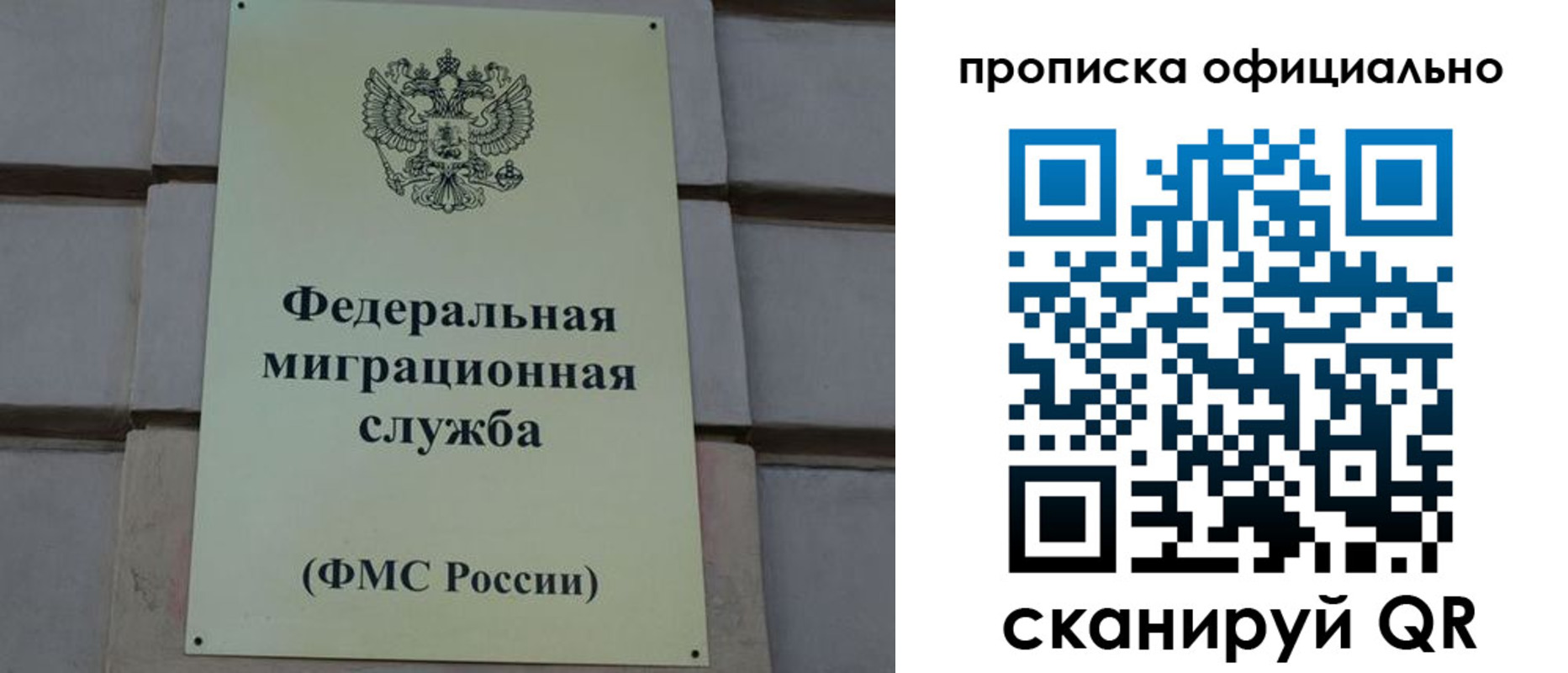 прописка регистрация в Александровске